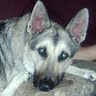 Sandy Blanchard Photo 24