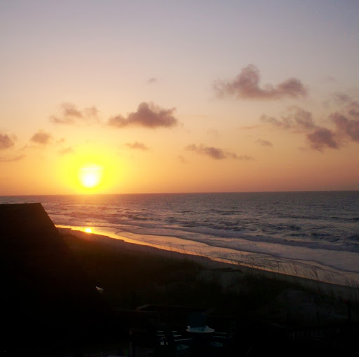 Nancy Weis Photo 26