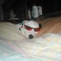 Christine Burkett Photo 26
