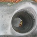 Everett Stone Photo 8