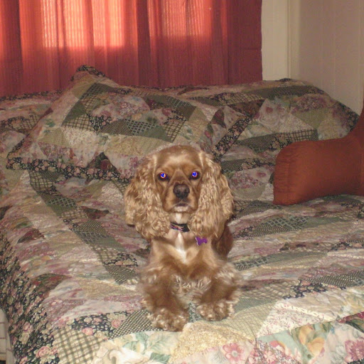 Betty Long Photo 25
