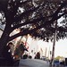 Susan Wooten Photo 27