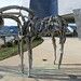 Deborah Hunter Photo 34
