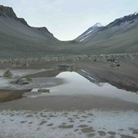 Susanne Douglas Photo 6