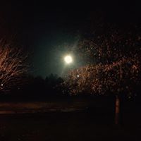 Mary Wiles Photo 33