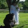 Joe Shultz Photo 36