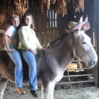 Allison Mcfarland Photo 25