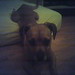 Stacy Stump Photo 12