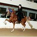 Lisa Callaway Photo 19