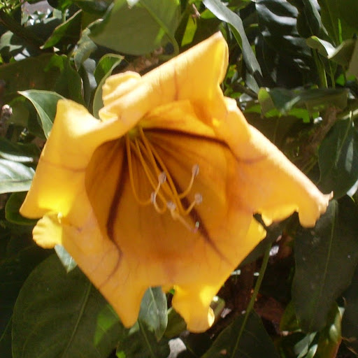 Debra Hynes Photo 3
