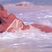 Cathy Crosby Photo 19