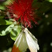 Kathy Key Photo 6