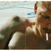 David Alt Photo 26