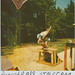 Tony Rector Photo 7