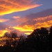 Cindy Medford Photo 11