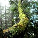 Cynthia Muir Photo 16