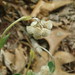 Michelle Dingle Photo 12