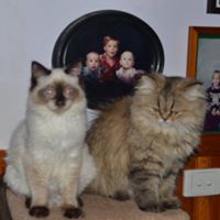 Margaret Pitts Photo 15