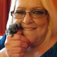 Cindy Capps Photo 14