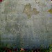 Ann Coffin Photo 22