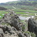 Dexter Meadows Photo 11