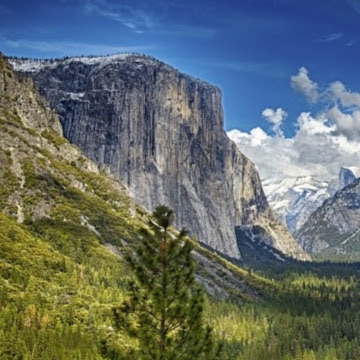 Gregory Conley Photo 6