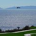 Jeffrey Trump Photo 12