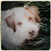 Bert Russell Photo 23