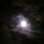 Annette Holmes Photo 19