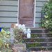 Mark O'Neill Photo 11