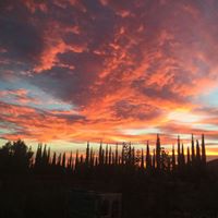 Carol Dougherty Photo 24