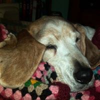 Nancy Magee Photo 19