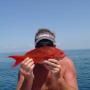 Bruce Evans Photo 7