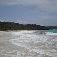 Janice Torrez Photo 2