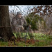 Jefferson Cartwright Photo 7