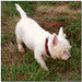 Nancy Fike Photo 26