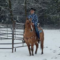 Andrew Morrill Photo 20