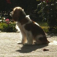 Ella Vine Photo 2