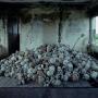 David Reveles Photo 28