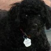 Tanna Deal Photo 9