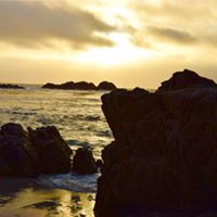 Greg Armstrong Photo 9
