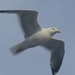 Martha Webb Photo 20