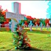 Joseph May Photo 47