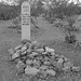 Lester Moore Photo 7