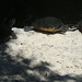 Margaret Hooks Photo 11