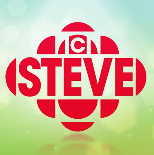 Steve Doyle Photo 19