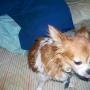 Wanda Lehman Photo 23