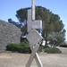 David Vi Photo 12