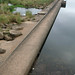 Victoria Weir Photo 16