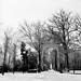 Don Faust Photo 10